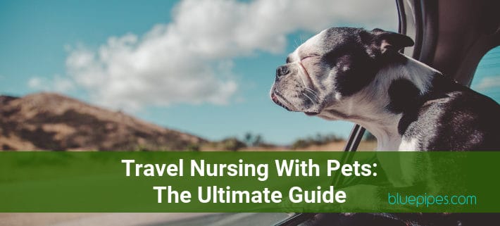 Travel Nursing with Pets Cover Image